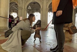 “Dogs & Museum Road Show”, il primo tour dedicato al pet-turismo culturale